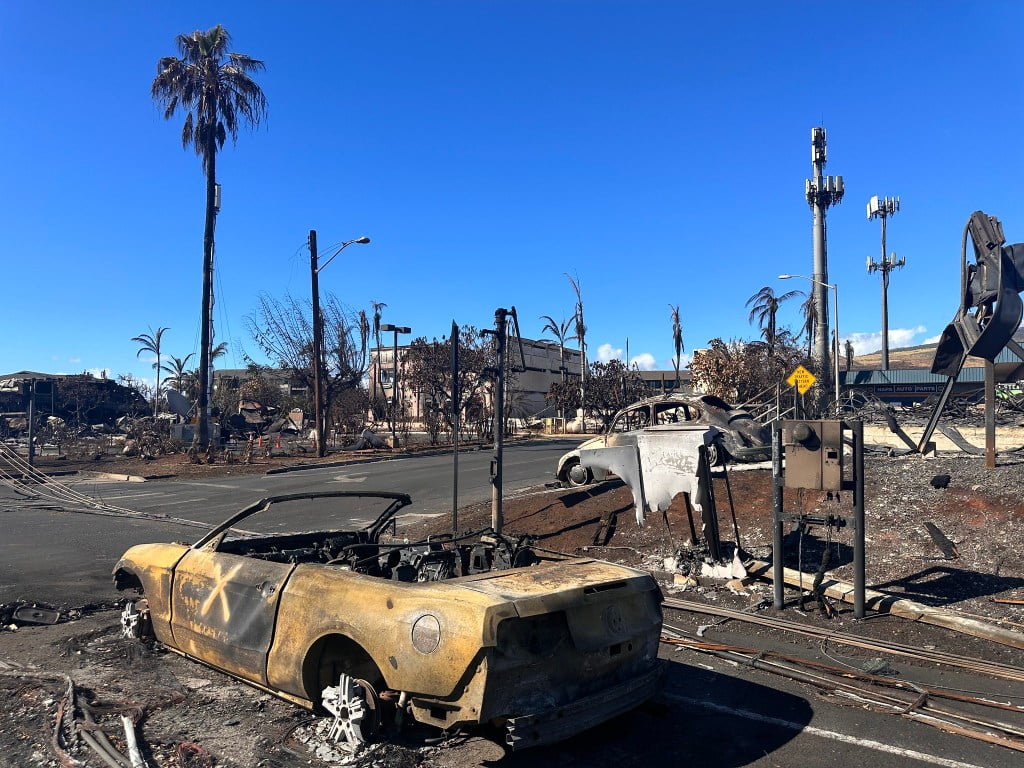 Cars burnt out, and Maui in ashes due to Hawai'i fire. Books linked to climate change in area.