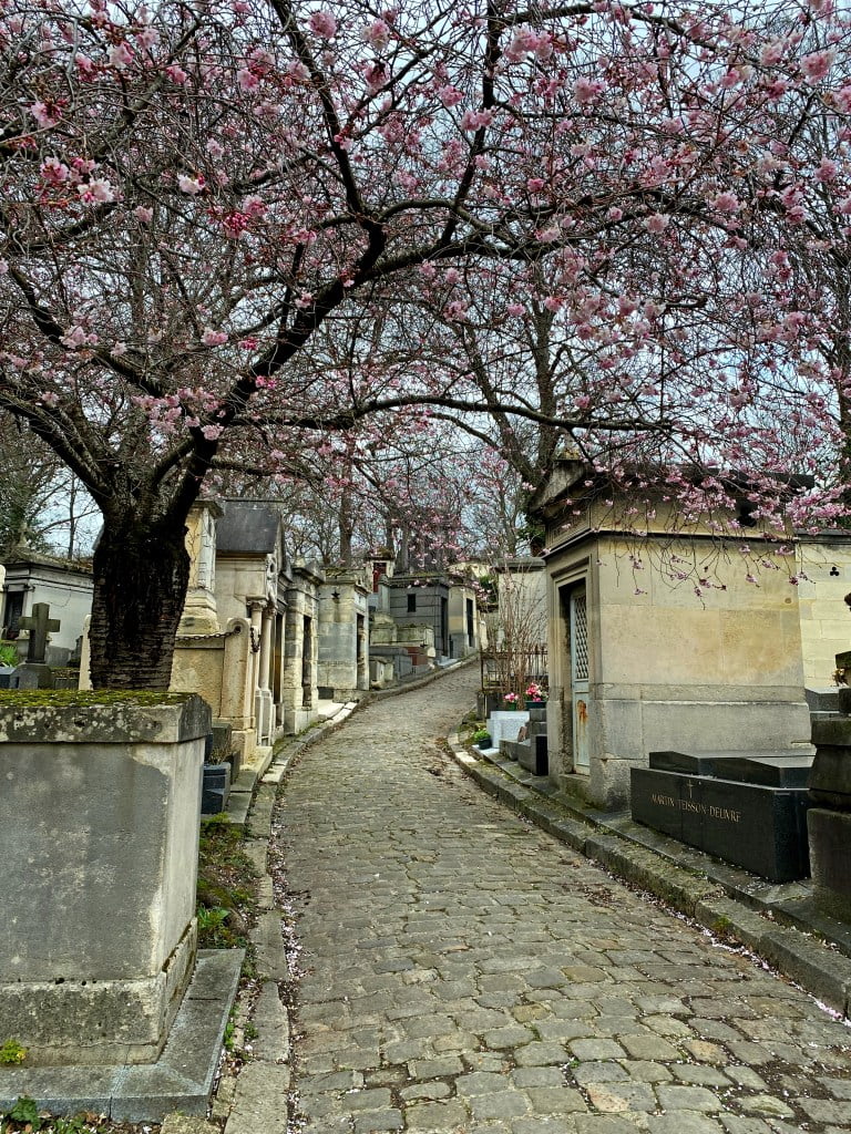 Cherry blossoms at Pere Lachaise Cemetery. Paris literary tour