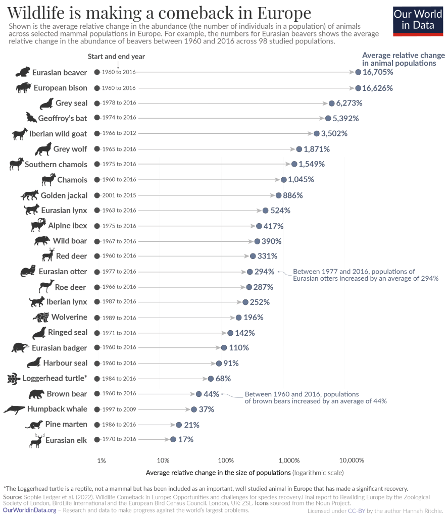 An infographic titled "Wildlife is making a comeback in Europe," showing the average relative change in the abundance of various animal populations in Europe, using a logarithmic scale. The chart lists animals alongside icons representing each species, and a line graph indicates the percentage increase in population from a specific start year to 2016. The animals with the most significant population increases include the Eurasian beaver, European bison, and grey seal, with increases of 16,705%, 16,626%, and 6,273% respectively. Other animals, such as the grey wolf, Iberian lynx, and Wolverine, also show considerable population growth. The infographic notes that the loggerhead turtle is included as a significant recovery case, even though it's not a mammal. Additional text provides information about the data source, with a note explaining that the data is licensed under CC-BY by "Not the End of the World" author Hannah Ritchie and sourced from various environmental research organisations.