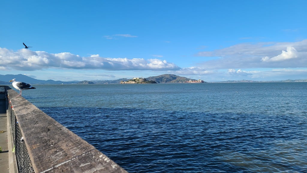 Alcatraz in the distance. San Francisco literary tour