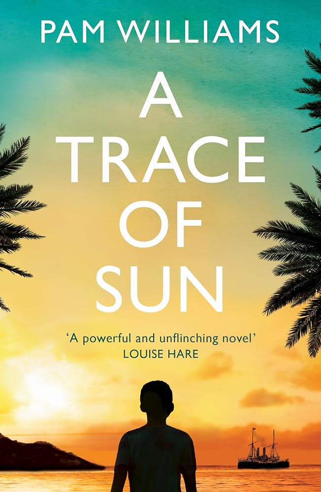 A Trace of Sun by Pam Williams
