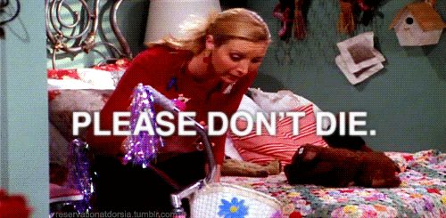 Phoebe Buffay from Friends looks at bicycle and tells it "Please Don't Die" as we explore "bookshelf wealth" and the importance of reading books