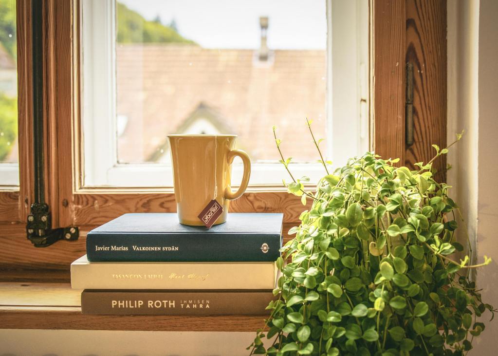 The keys to launching literary career in the modern world. A warm and cozy reading nook by a window with a view of rooftops. A stack of three books with titles by Javier Marías, Henry James, and Philip Roth suggests a theme of literary pursuit. Beside the books sits a large mustard-yellow mug with a tea bag label hanging over the side, indicating a moment of relaxation or a tea break. A lush green potted plant adds a touch of nature and tranquility to the scene. The natural light from the window highlights the textures and colors, creating a peaceful atmosphere ideal for reading and reflection.
